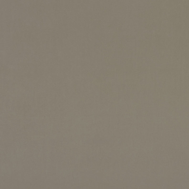 Alvar Taupe by Clarke And Clarke Fabric CLARKE & CLARKE ALVAR POLYESTER - 100% China HEAVY Horizontal: 0 and Vertical: 0 57 - Fabric Carolina -