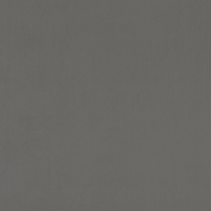 Alvar Ash by Clarke And Clarke Fabric CLARKE & CLARKE ALVAR POLYESTER - 100% China HEAVY Horizontal: 0 and Vertical: 0 57 - Fabric Carolina -