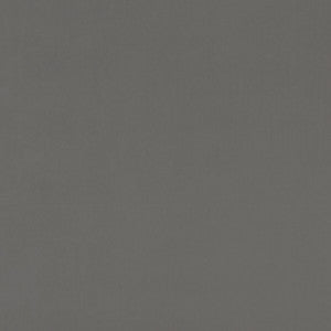Alvar Ash by Clarke And Clarke Fabric
