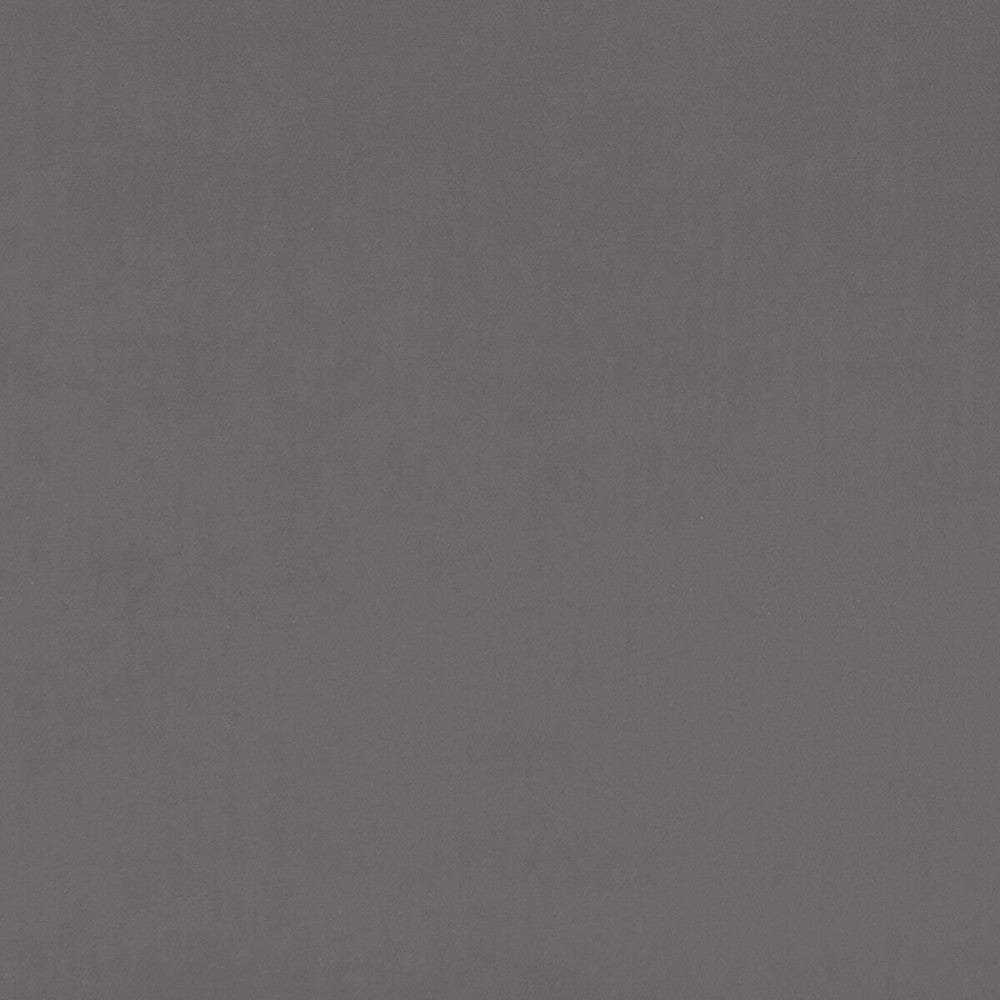 Alvar Ash by Clarke And Clarke Fabric CLARKE & CLARKE ALVAR POLYESTER - 100% China HEAVY Horizontal: 0 and Vertical: 0 57 - Fabric Carolina -