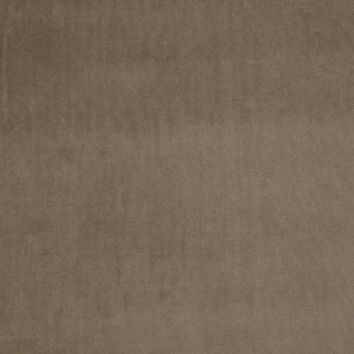 F0753 24 Alvar Bark by Clarke and Clarke Fabric CLARKE & CLARKE POLYESTER - 100% China HEAVY Horizontal: 0 and Vertical: 0 57  - Fabric Carolina -