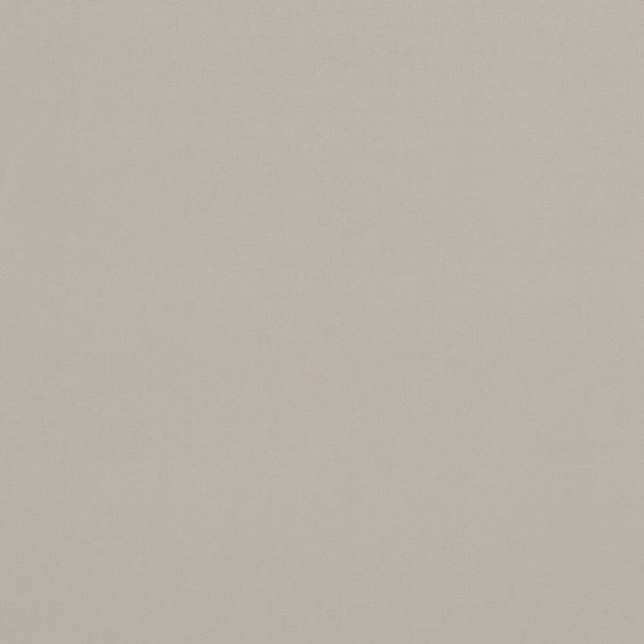 Alvar Birch by Clarke And Clarke Designer Fabric CLARKE & CLARKE ALVAR POLYESTER - 100% China HEAVY Horizontal: 0 and Vertical: 0 57 - Swanky Fabrics -