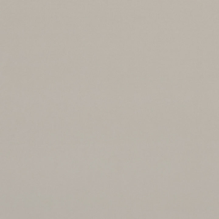 Alvar Birch by Clarke And Clarke Fabric CLARKE & CLARKE ALVAR POLYESTER - 100% China HEAVY Horizontal: 0 and Vertical: 0 57 - Fabric Carolina -