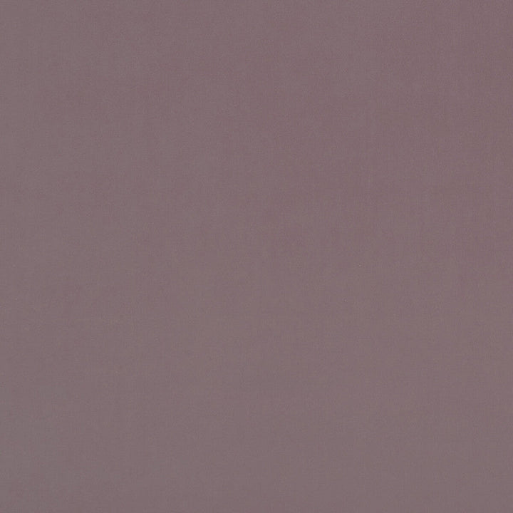 Alvar Blush by Clarke And Clarke Fabric Clarke And Clarke Fabric Alvar BlushFabric CLARKE & CLARKE ALVAR POLYESTER - 100% China </p><p>Repeat: H: 0, V: 0 57 - Fabric Carolina -
