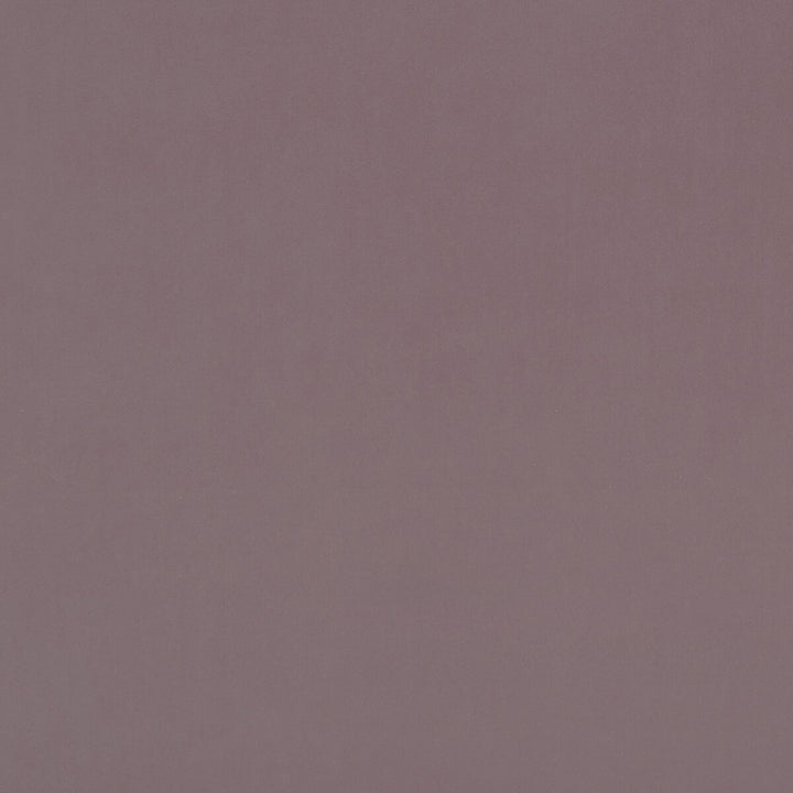 Alvar Blush by Clarke And Clarke Fabric CLARKE & CLARKE ALVAR POLYESTER - 100% China HEAVY Horizontal: 0 and Vertical: 0 57 - Fabric Carolina -