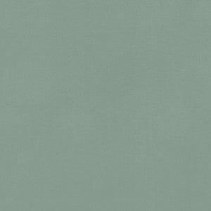 Alvar Celadon by Clarke And Clarke Fabric