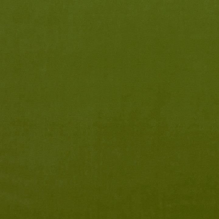 Alvar Citron by Clarke And Clarke Fabric Clarke And Clarke Fabric Alvar CitronFabric CLARKE & CLARKE ALVAR POLYESTER - 100% China </p><p>Repeat: H: 0, V: 0 57 - Fabric Carolina -
