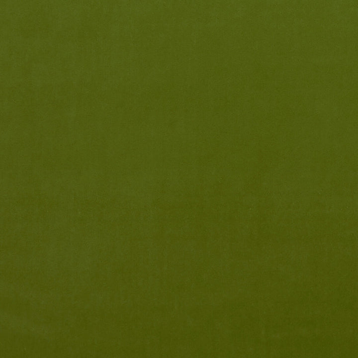 Alvar Citron by Clarke And Clarke Fabric CLARKE & CLARKE ALVAR POLYESTER - 100% China HEAVY Horizontal: 0 and Vertical: 0 57 - Fabric Carolina -