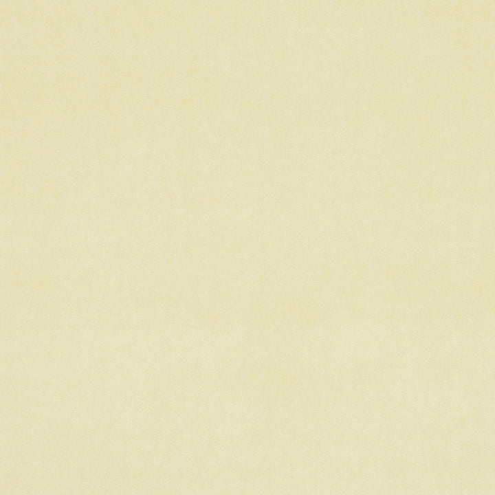 F0753 34 Alvar Cream by Clarke and Clarke Fabric CLARKE & CLARKE POLYESTER - 100% China HEAVY Horizontal: 0 and Vertical: 0 57  - Fabric Carolina -