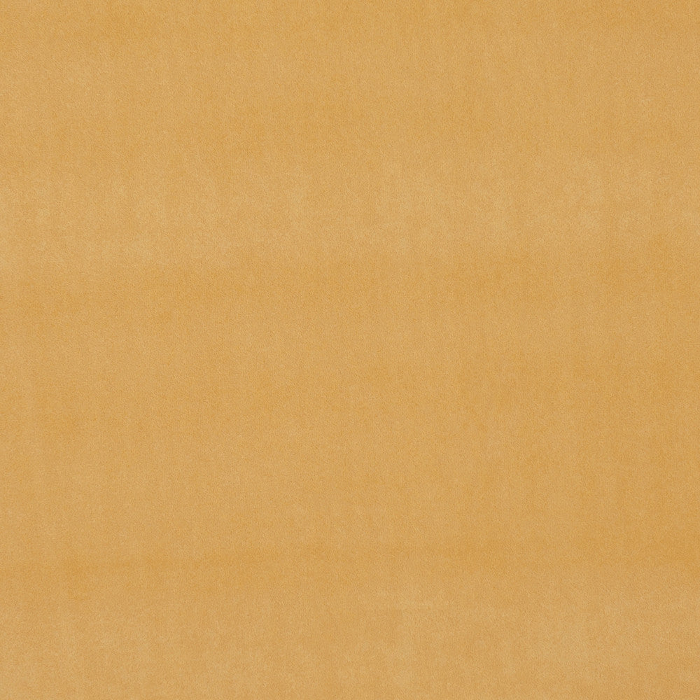 F0753 39 Alvar Gold by Clarke and Clarke Fabric CLARKE & CLARKE POLYESTER - 100% China HEAVY Horizontal: 0 and Vertical: 0 57  - Fabric Carolina -