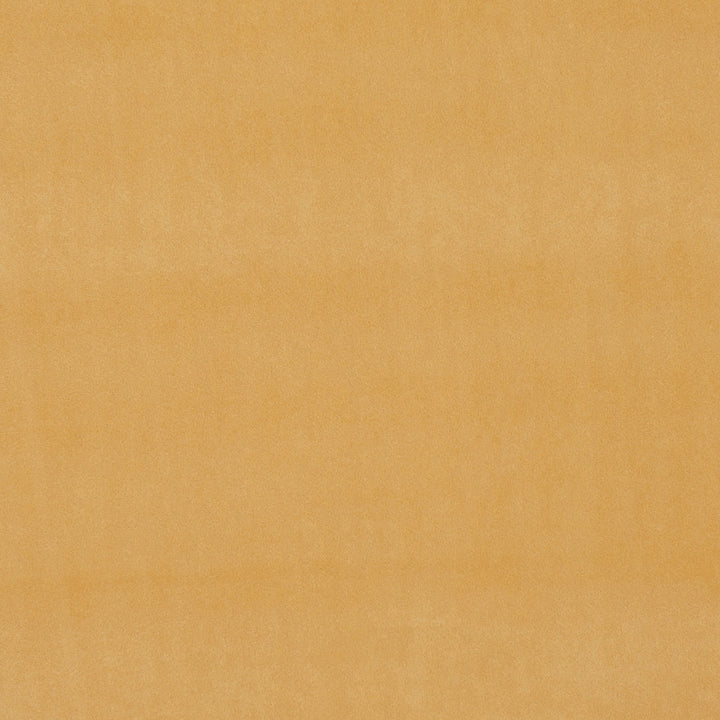 F0753 39 Alvar Gold by Clarke and Clarke Fabric CLARKE & CLARKE POLYESTER - 100% China HEAVY Horizontal: 0 and Vertical: 0 57  - Fabric Carolina -