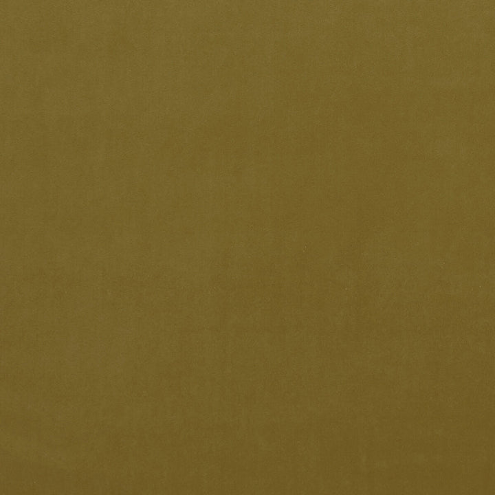 Alvar Gold by Clarke And Clarke Fabric CLARKE & CLARKE ALVAR POLYESTER - 100% China HEAVY Horizontal: 0 and Vertical: 0 57 - Fabric Carolina -