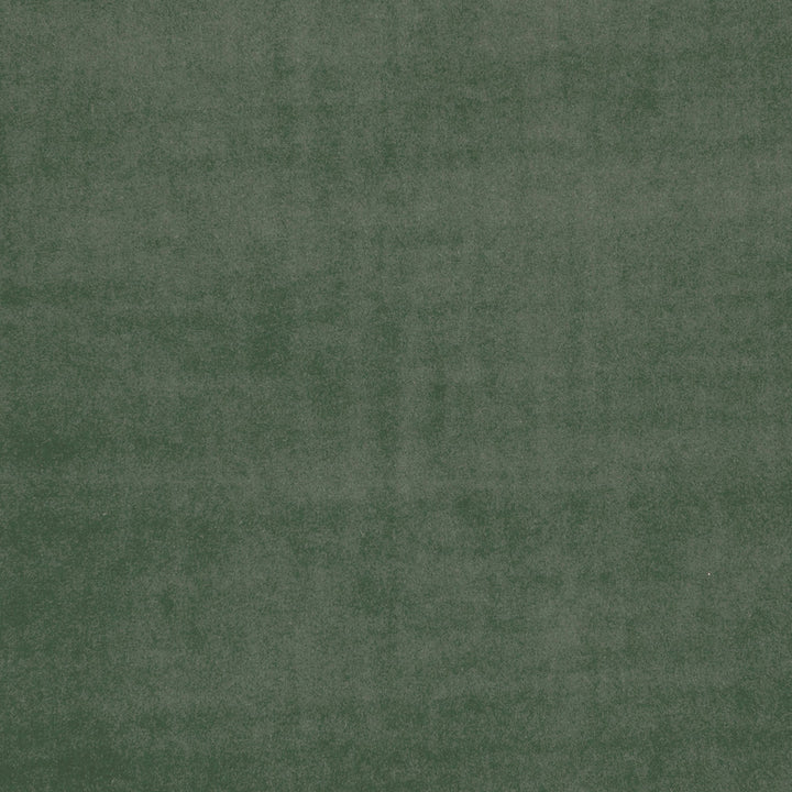 F0753 40 Alvar Herb by Clarke and Clarke Fabric CLARKE & CLARKE POLYESTER - 100% China HEAVY Horizontal: 0 and Vertical: 0 57  - Fabric Carolina -