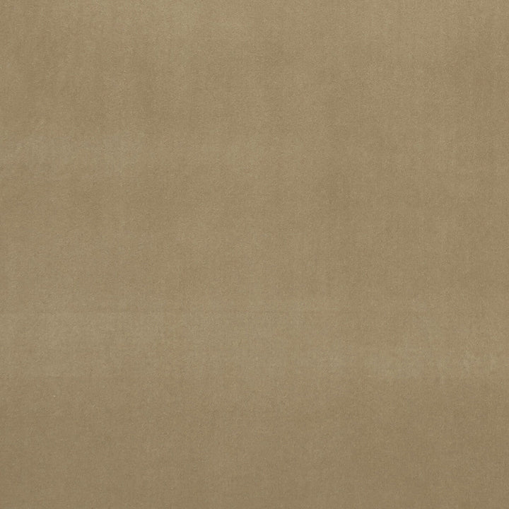 Alvar Lark by Clarke And Clarke Fabric Clarke And Clarke Fabric Alvar LarkFabric CLARKE & CLARKE ALVAR POLYESTER - 100% China </p><p>Repeat: H: 0, V: 0 57 - Fabric Carolina -