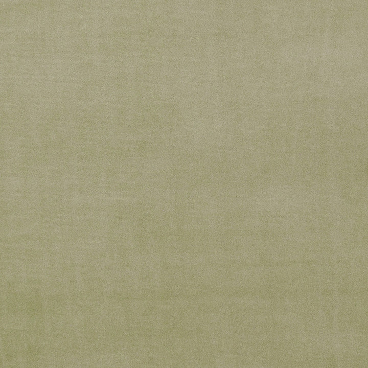 F0753 46 Alvar Sage by Clarke and Clarke Fabric CLARKE & CLARKE POLYESTER - 100% China HEAVY Horizontal: 0 and Vertical: 0 57  - Fabric Carolina -
