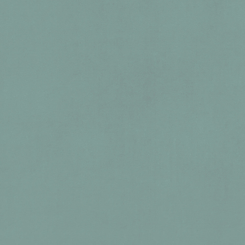 Alvar Bay Leaf by Clarke And Clarke Fabric CLARKE & CLARKE ALVAR 2 POLYESTER - 100% China HEAVY Horizontal: 0 and Vertical: 0 56.75 - Fabric Carolina -