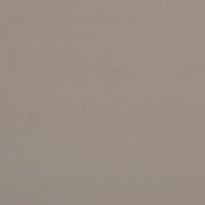 Alvar Biscotti by Clarke And Clarke Fabric CLARKE & CLARKE ALVAR 2 POLYESTER - 100% China HEAVY Horizontal: 0 and Vertical: 0 56.75 - Fabric Carolina -