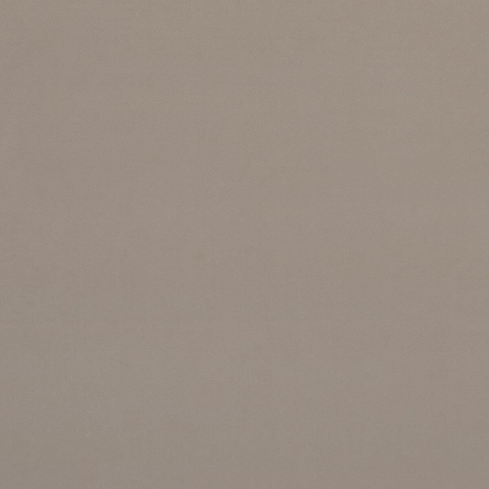 Alvar Biscotti by Clarke And Clarke Fabric Clarke And Clarke Fabric Alvar BiscottiFabric CLARKE & CLARKE ALVAR 2 POLYESTER - 100% China </p><p>Repeat: H: 0, V: 0 56.75 - Fabric Carolina -