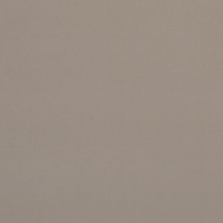 Alvar Biscotti by Clarke And Clarke Designer Fabric CLARKE & CLARKE ALVAR 2 POLYESTER - 100% China HEAVY Horizontal: 0 and Vertical: 0 56.75 - Swanky Fabrics -