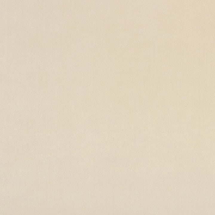 Alvar Buff by Clarke And Clarke Fabric CLARKE & CLARKE ALVAR 2 POLYESTER - 100% China HEAVY Horizontal: 0 and Vertical: 0 56.75 - Fabric Carolina -