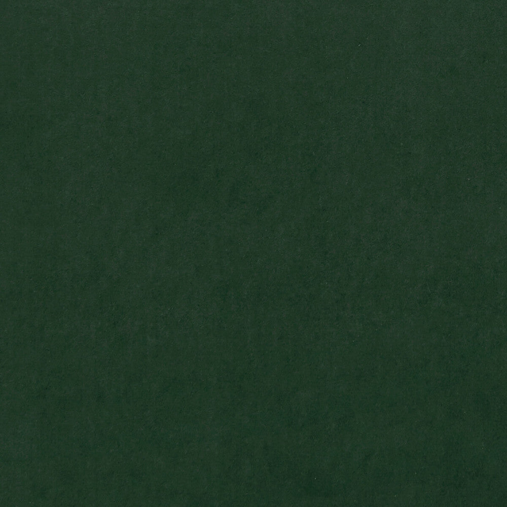 Alvar Emerald by Clarke And Clarke Designer Fabric CLARKE & CLARKE ALVAR 2 POLYESTER - 100% China HEAVY Horizontal: 0 and Vertical: 0 56.75 - Swanky Fabrics -