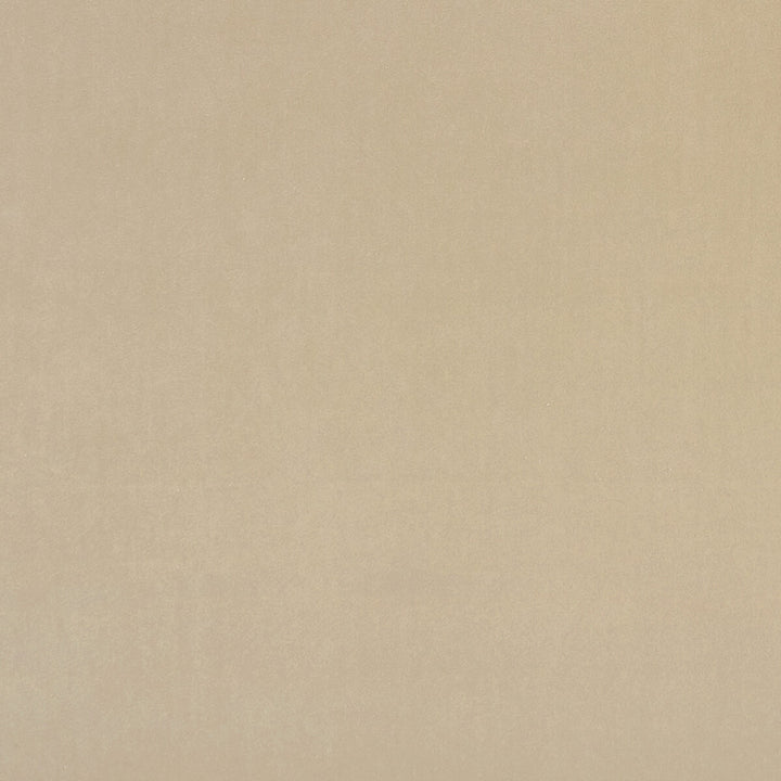Alvar Flaxen by Clarke And Clarke Fabric CLARKE & CLARKE ALVAR 2 POLYESTER - 100% China HEAVY Horizontal: 0 and Vertical: 0 56.75 - Fabric Carolina -