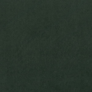 Alvar Forest by Clarke And Clarke Fabric