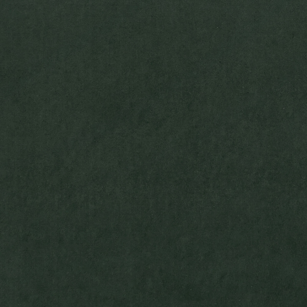 Alvar Forest by Clarke And Clarke Fabric CLARKE & CLARKE ALVAR 2 POLYESTER - 100% China HEAVY Horizontal: 0 and Vertical: 0 56.75 - Fabric Carolina -