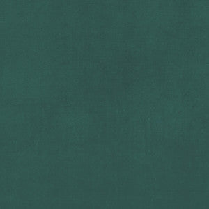 Alvar Glade by Clarke And Clarke Fabric