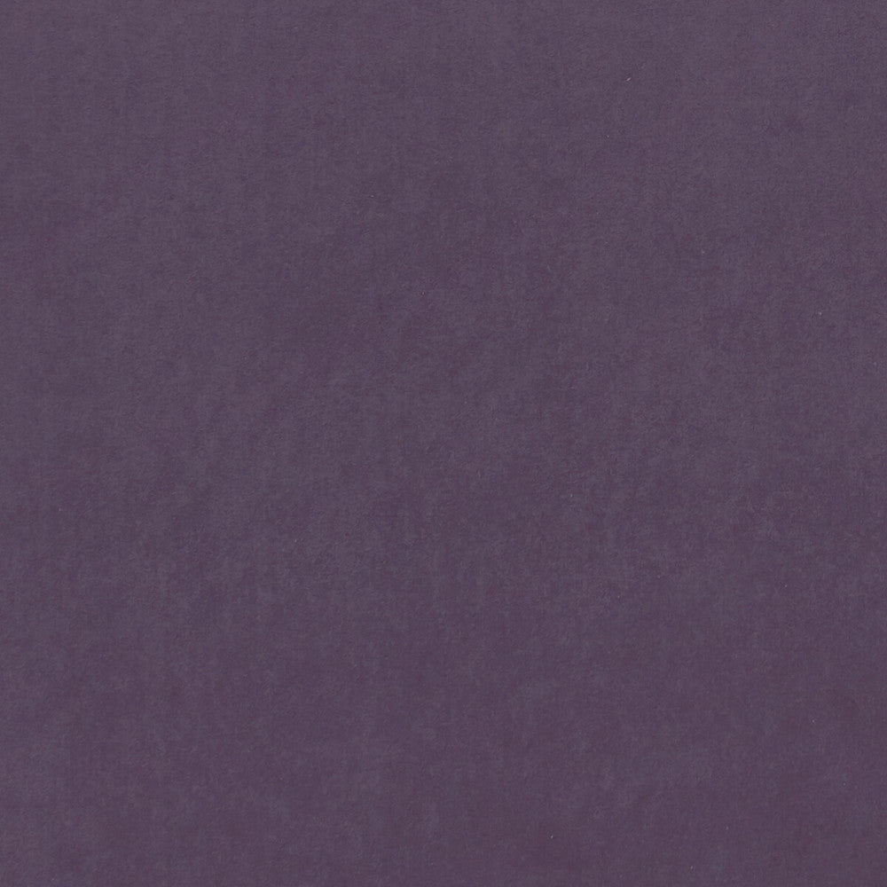 Alvar Grape by Clarke And Clarke Fabric CLARKE & CLARKE ALVAR 2 POLYESTER - 100% China HEAVY Horizontal: 0 and Vertical: 0 56.75 - Fabric Carolina -