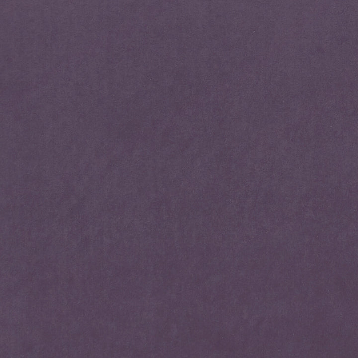 Alvar Grape by Clarke And Clarke Fabric CLARKE & CLARKE ALVAR 2 POLYESTER - 100% China HEAVY Horizontal: 0 and Vertical: 0 56.75 - Fabric Carolina -