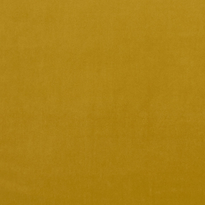 Alvar Honey by Clarke And Clarke Fabric CLARKE & CLARKE ALVAR 2 POLYESTER - 100% China HEAVY Horizontal: 0 and Vertical: 0 56.75 - Fabric Carolina -