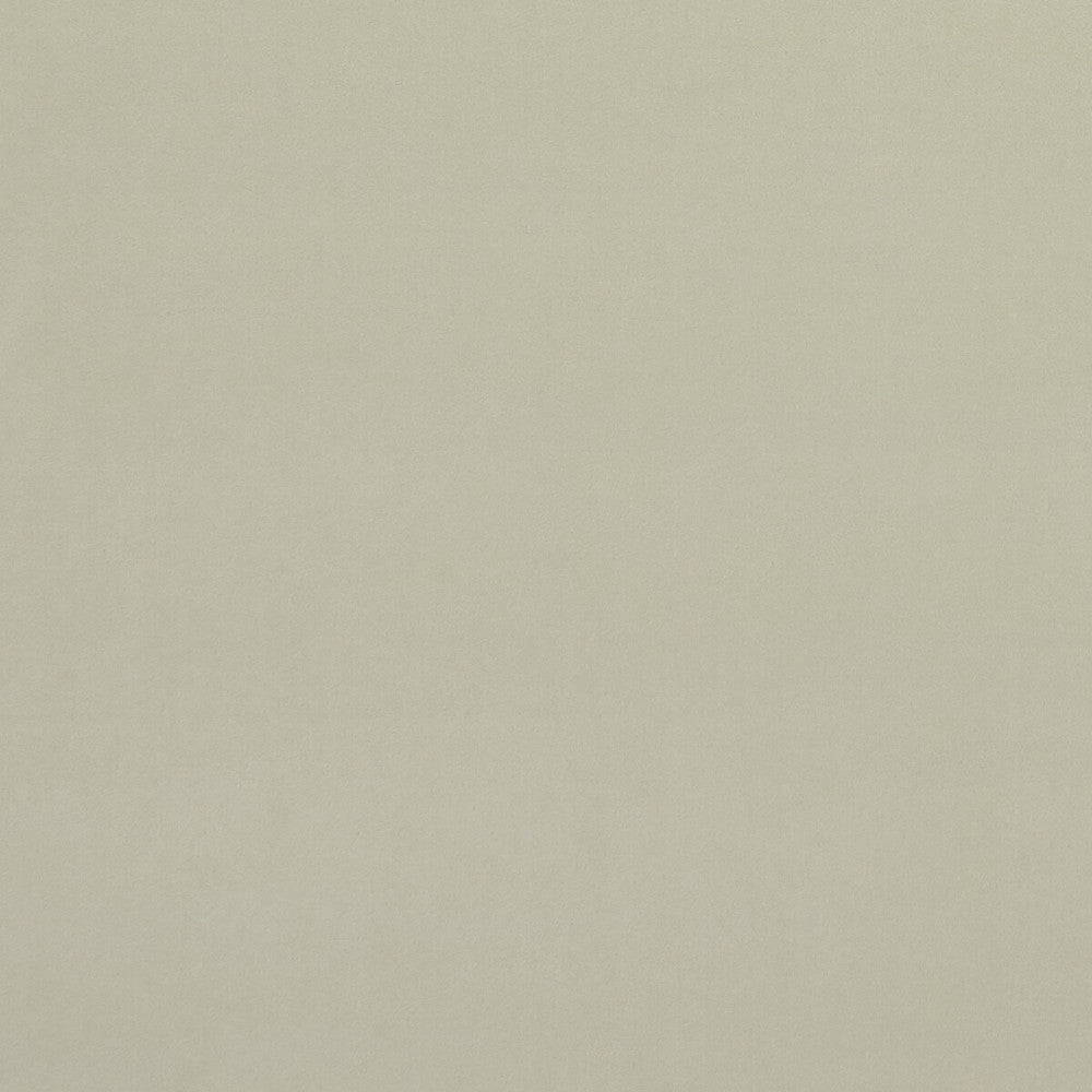 Alvar Ivory by Clarke And Clarke Fabric CLARKE & CLARKE ALVAR 2 POLYESTER - 100% China HEAVY Horizontal: 0 and Vertical: 0 56.75 - Fabric Carolina -