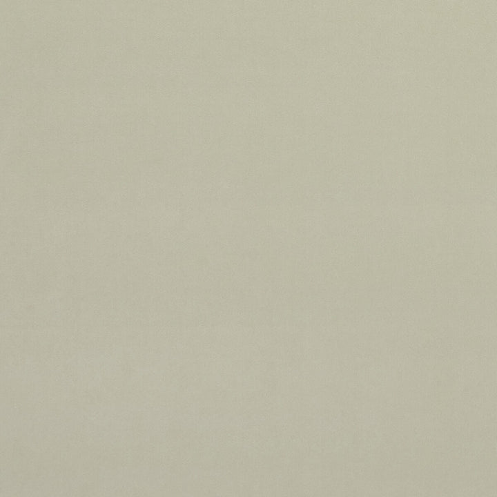 Alvar Ivory by Clarke And Clarke Fabric CLARKE & CLARKE ALVAR 2 POLYESTER - 100% China HEAVY Horizontal: 0 and Vertical: 0 56.75 - Fabric Carolina -