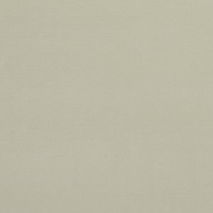 Alvar Ivory by Clarke And Clarke Fabric
