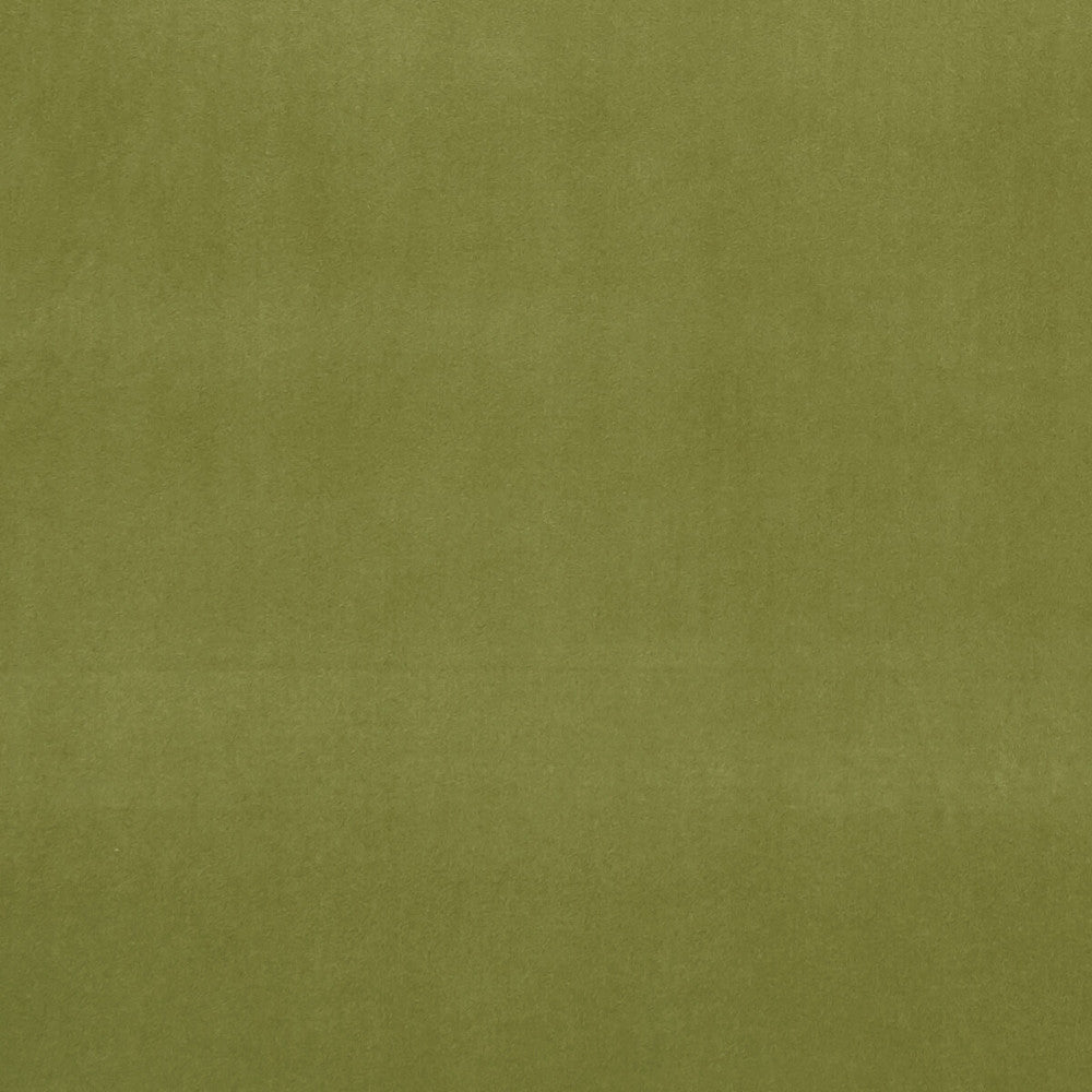 Alvar Leaf by Clarke And Clarke Designer Fabric CLARKE & CLARKE ALVAR 2 POLYESTER - 100% China HEAVY Horizontal: 0 and Vertical: 0 56.75 - Swanky Fabrics -
