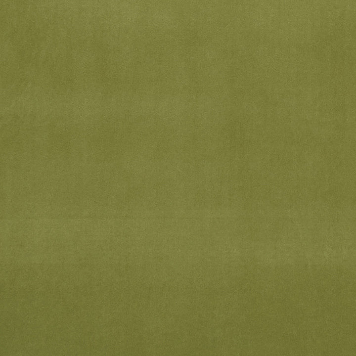 Alvar Leaf by Clarke And Clarke Designer Fabric CLARKE & CLARKE ALVAR 2 POLYESTER - 100% China HEAVY Horizontal: 0 and Vertical: 0 56.75 - Swanky Fabrics -