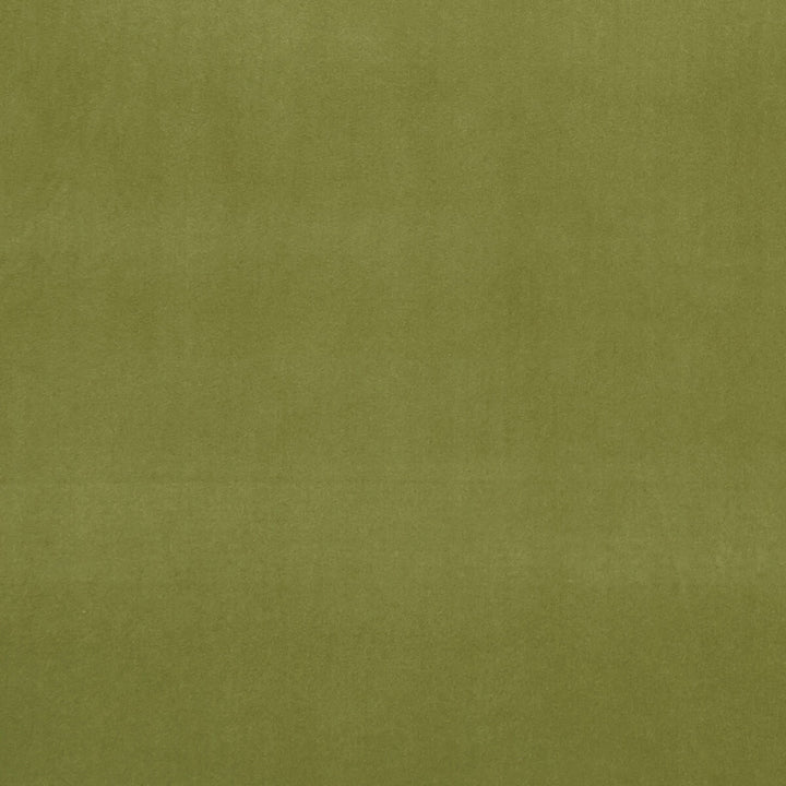 Alvar Leaf by Clarke And Clarke Fabric CLARKE & CLARKE ALVAR 2 POLYESTER - 100% China HEAVY Horizontal: 0 and Vertical: 0 56.75 - Fabric Carolina -