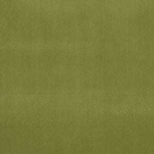 Alvar Leaf by Clarke And Clarke Fabric