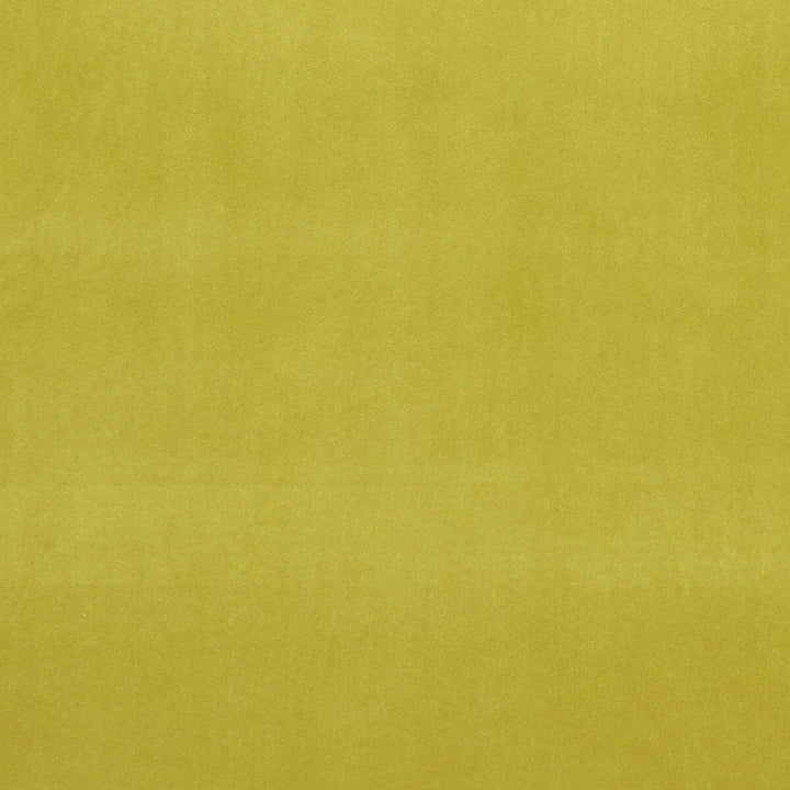 Alvar Lime by Clarke And Clarke Fabric CLARKE & CLARKE ALVAR 2 POLYESTER - 100% China HEAVY Horizontal: 0 and Vertical: 0 56.75 - Fabric Carolina -