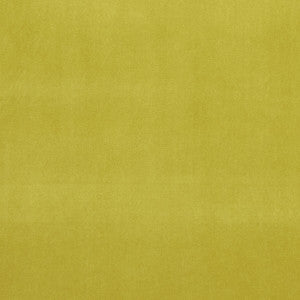 Alvar Lime by Clarke And Clarke Fabric