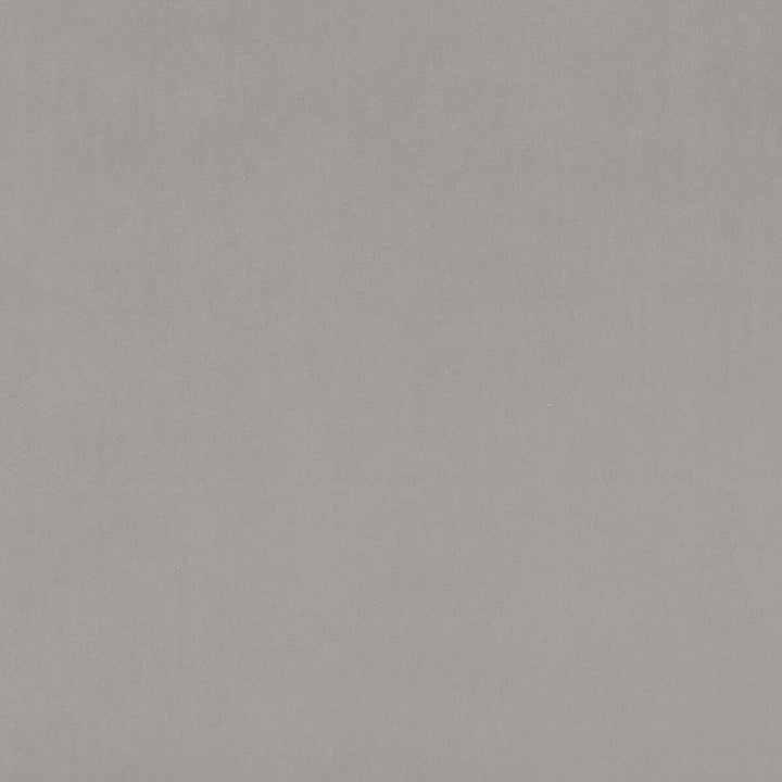 Alvar Mole by Clarke And Clarke Fabric CLARKE & CLARKE ALVAR 2 POLYESTER - 100% China HEAVY Horizontal: 0 and Vertical: 0 56.75 - Fabric Carolina -