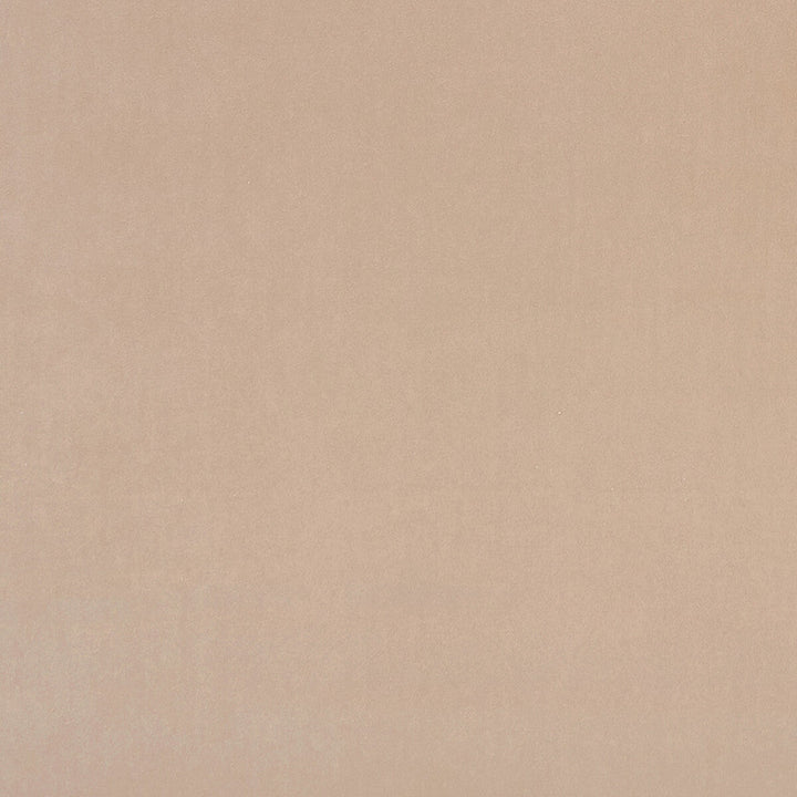 Alvar Nude by Clarke And Clarke Fabric Clarke And Clarke Fabric Alvar NudeFabric CLARKE & CLARKE ALVAR 2 POLYESTER - 100% China </p><p>Repeat: H: 0, V: 0 56.75 - Fabric Carolina -