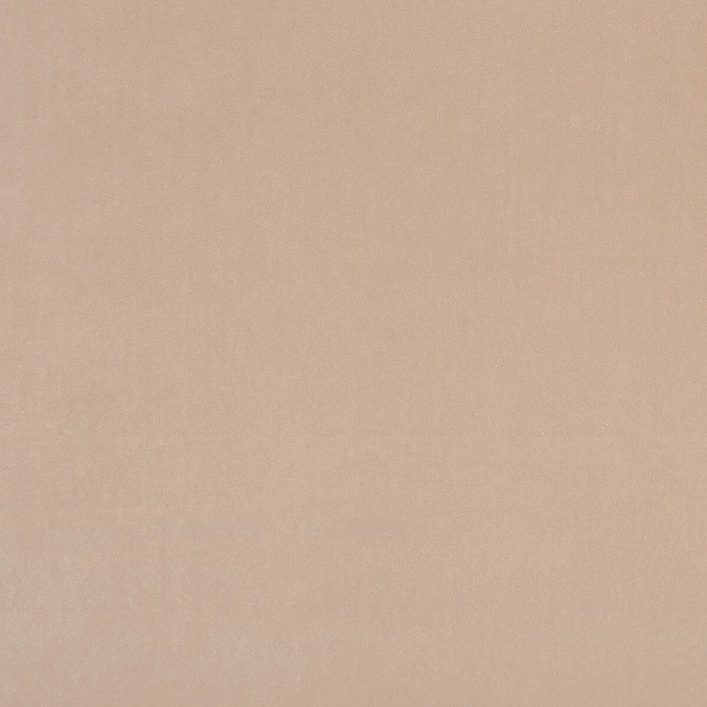 Alvar Nude by Clarke And Clarke Fabric CLARKE & CLARKE ALVAR 2 POLYESTER - 100% China HEAVY Horizontal: 0 and Vertical: 0 56.75 - Fabric Carolina -