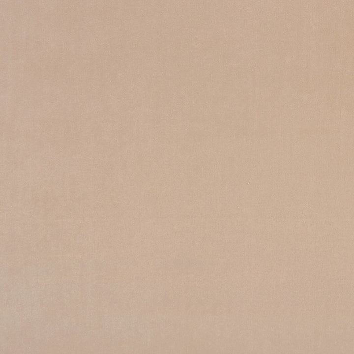 Alvar Nude by Clarke And Clarke Fabric CLARKE & CLARKE ALVAR 2 POLYESTER - 100% China HEAVY Horizontal: 0 and Vertical: 0 56.75 - Fabric Carolina -