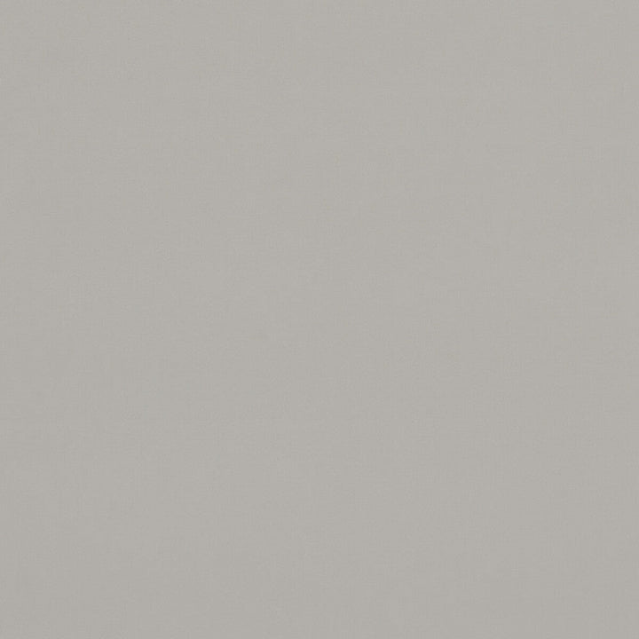Alvar Pebble by Clarke And Clarke Fabric Clarke And Clarke Fabric Alvar PebbleFabric CLARKE & CLARKE ALVAR 2 POLYESTER - 100% China </p><p>Repeat: H: 0, V: 0 56.75 - Fabric Carolina -