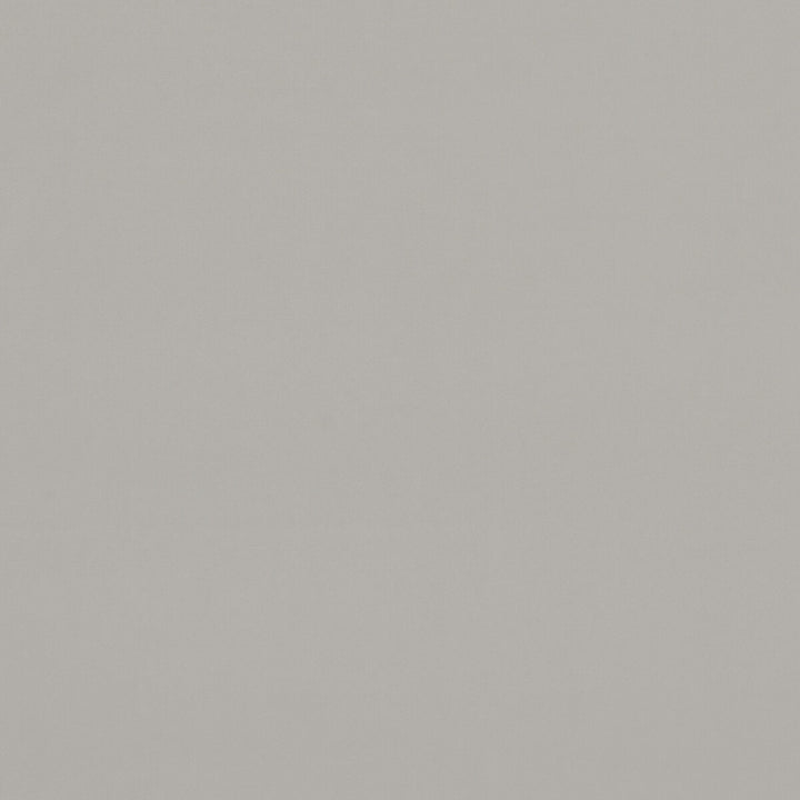 Alvar Pebble by Clarke And Clarke Fabric CLARKE & CLARKE ALVAR 2 POLYESTER - 100% China HEAVY Horizontal: 0 and Vertical: 0 56.75 - Fabric Carolina -