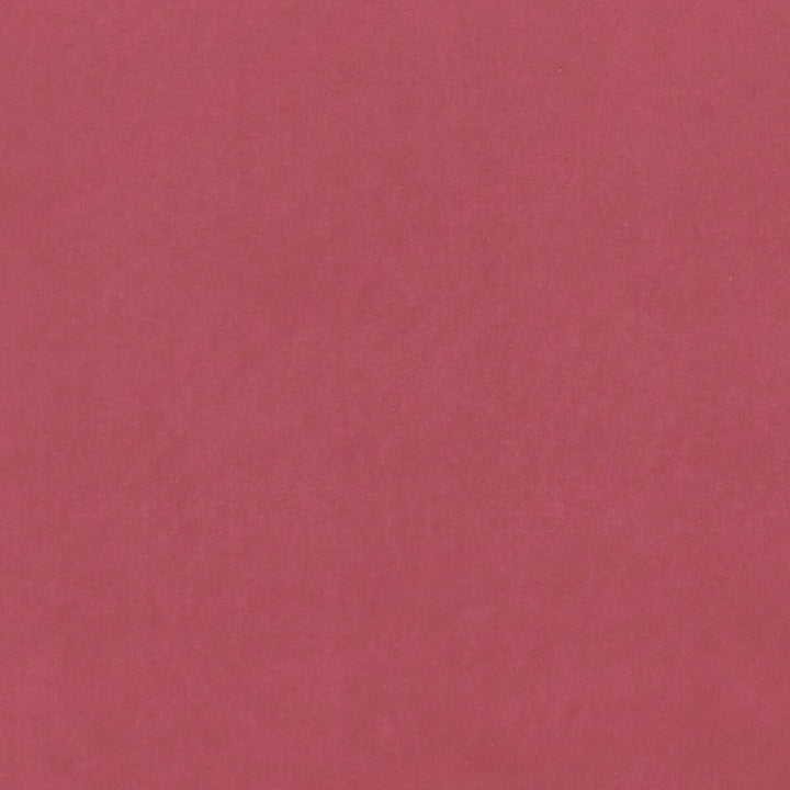 Alvar Peony by Clarke And Clarke Fabric CLARKE & CLARKE ALVAR 2 POLYESTER - 100% China HEAVY Horizontal: 0 and Vertical: 0 56.75 - Fabric Carolina -