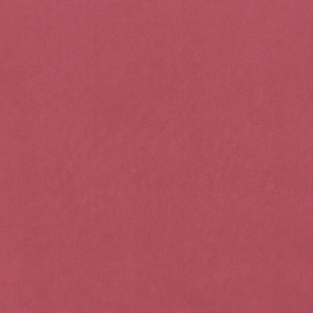 Alvar Peony by Clarke And Clarke Fabric CLARKE & CLARKE ALVAR 2 POLYESTER - 100% China HEAVY Horizontal: 0 and Vertical: 0 56.75 - Fabric Carolina -