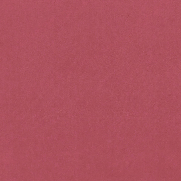 Alvar Peony by Clarke And Clarke Designer Fabric CLARKE & CLARKE ALVAR 2 POLYESTER - 100% China HEAVY Horizontal: 0 and Vertical: 0 56.75 - Swanky Fabrics -